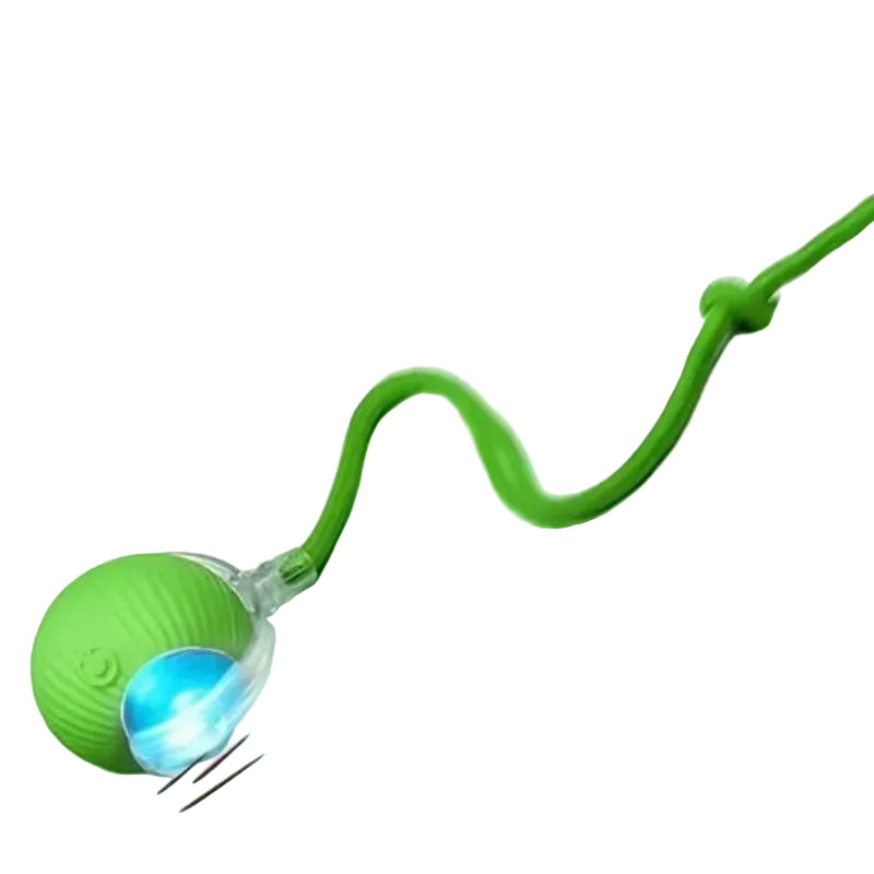 Interactive Smart Cat Wand Toy