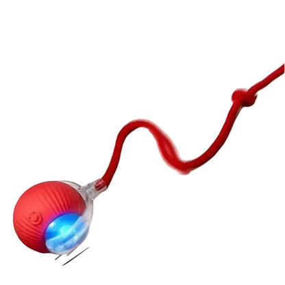 Interactive Smart Cat Wand Toy