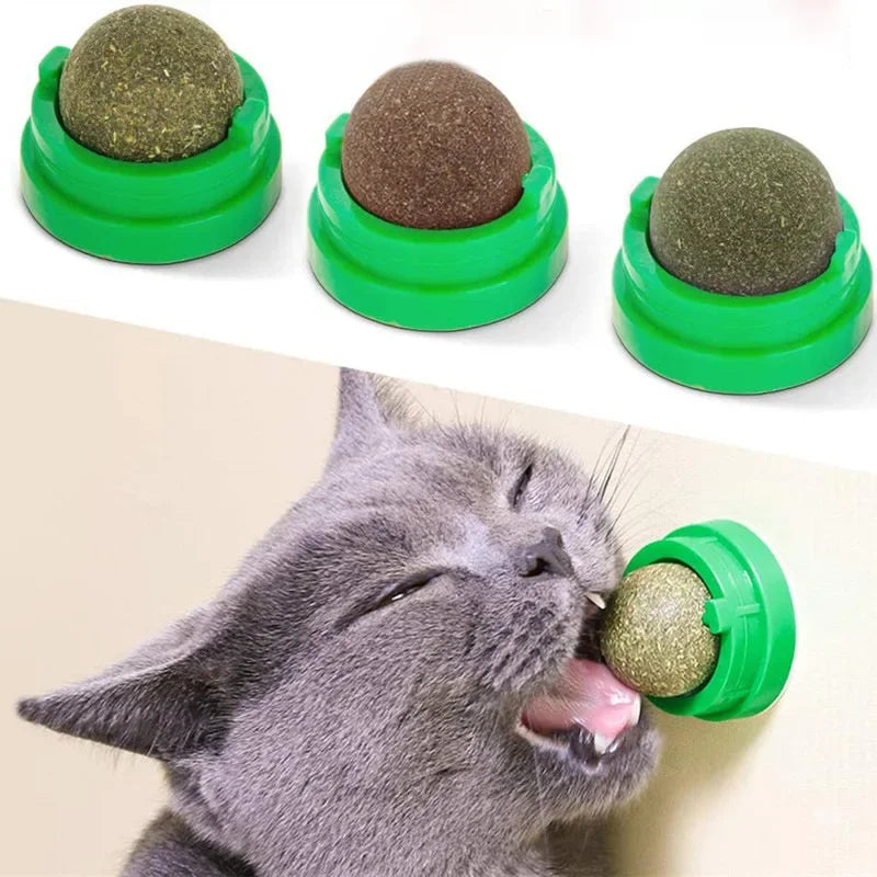 Catnip Lick Ball Toy