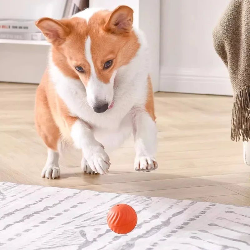 Interactive Smart Rolling Dog Toy