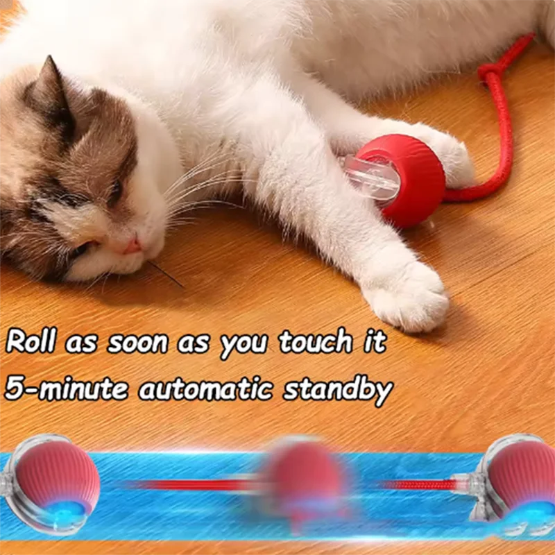 Interactive Smart Cat Wand Toy