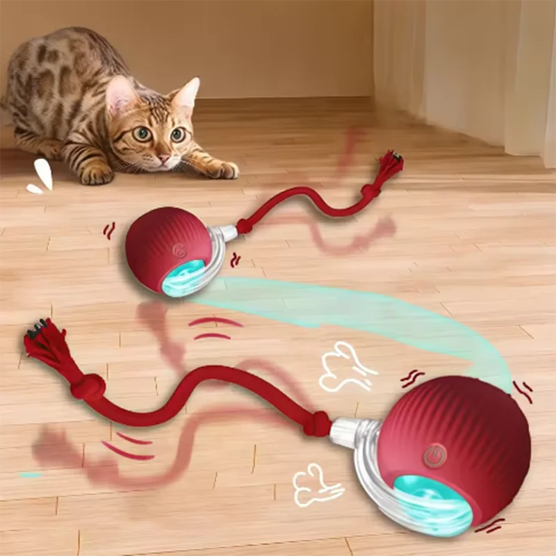 Interactive Smart Cat Wand Toy