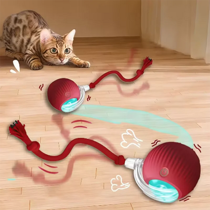 Interactive Smart Cat Wand Toy