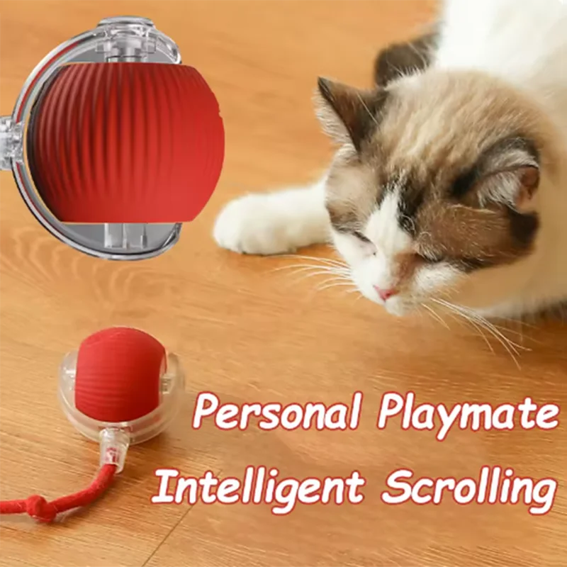 Interactive Smart Cat Wand Toy