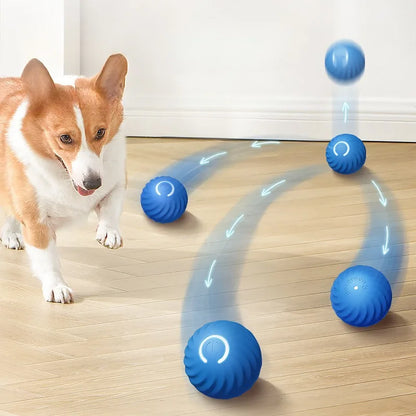 Interactive Smart Rolling Dog Toy