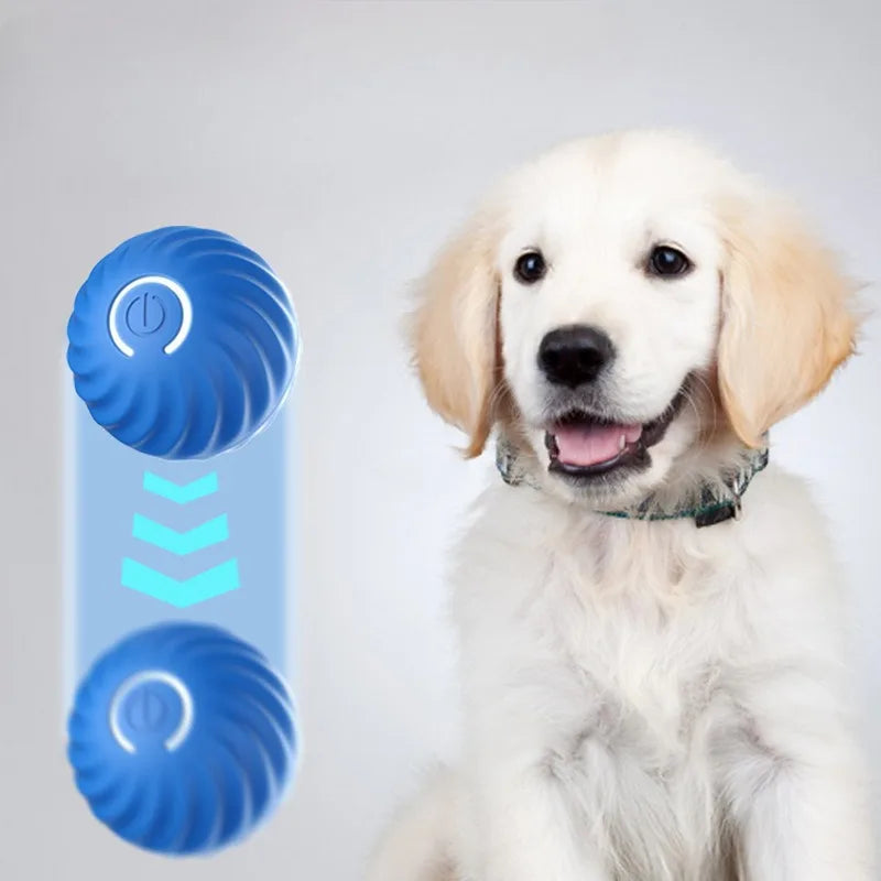 Interactive Smart Rolling Dog Toy